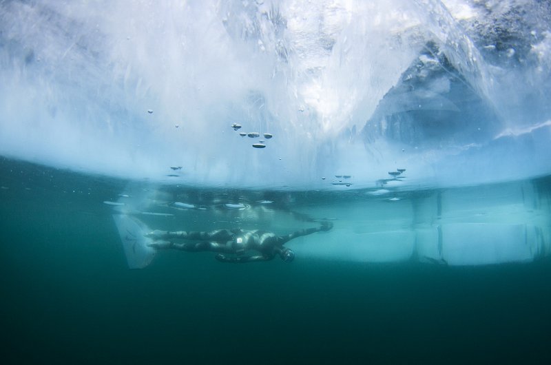 Байкал рыбки подо льдом