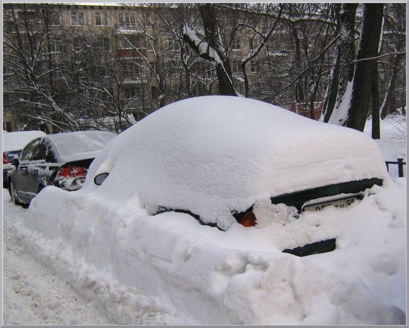 Машины в снегу во дворе