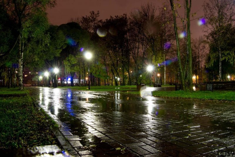 Ночные аллеи Калининграда