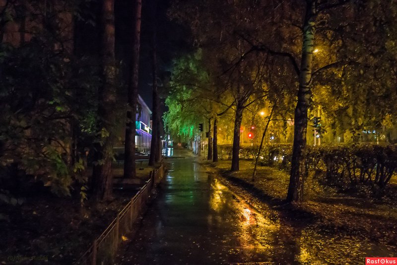 Дождливый ночной парк