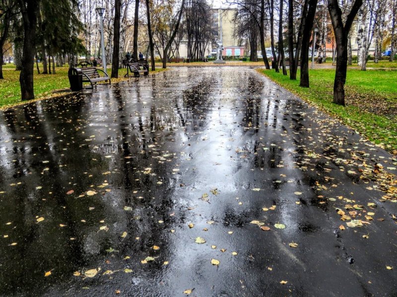 Дождливая осень в Москве