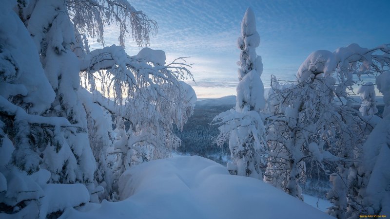 Усть Каменогорск природа зима сугробы