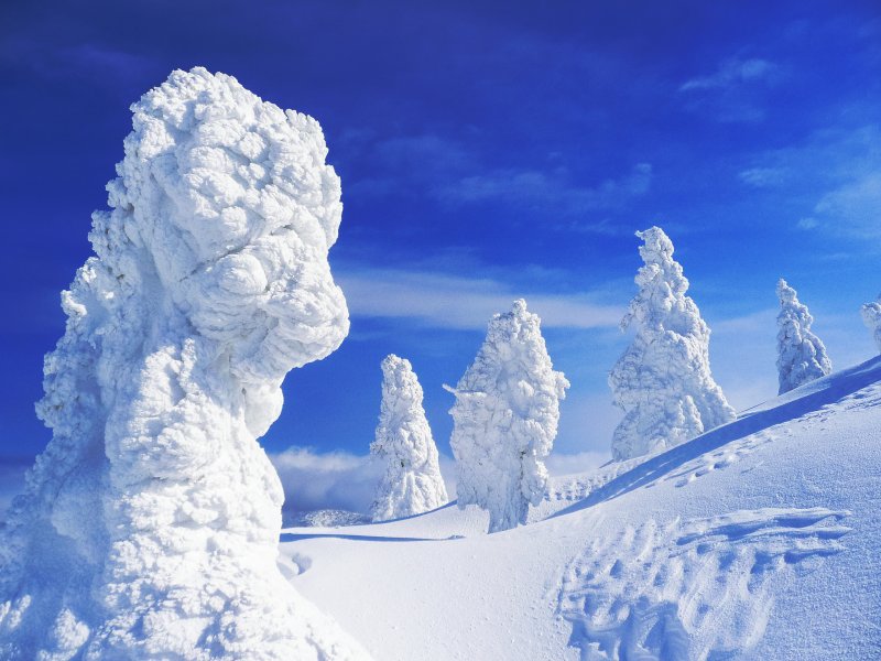 Много снега в России