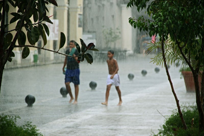 Проливные дожди тропики