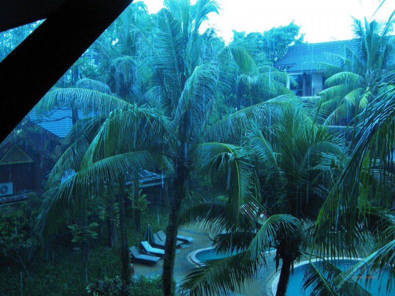 Тропический дождь в Тайланде