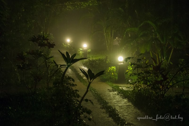 Ночной тропический ливень
