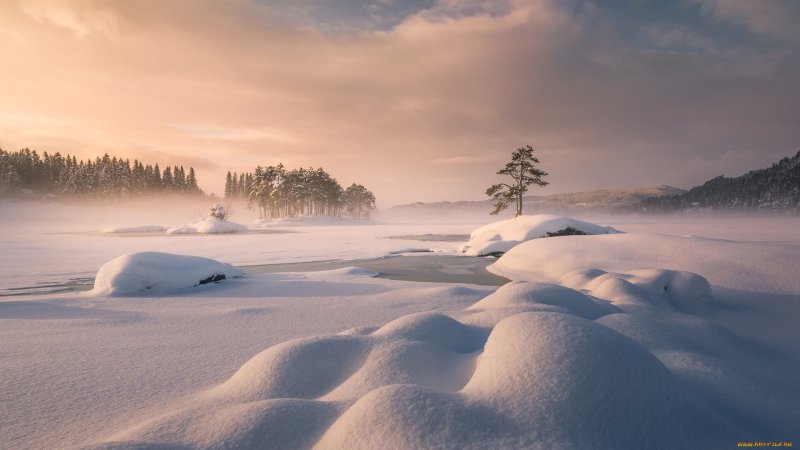 Красота природы Швеции зимой