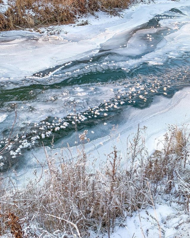 Блинчатый лед на реке бера