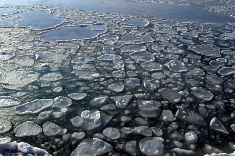 Блинчатый лед Ледовое явление