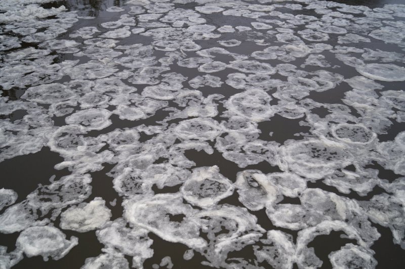 Блинчатый лед природное явление