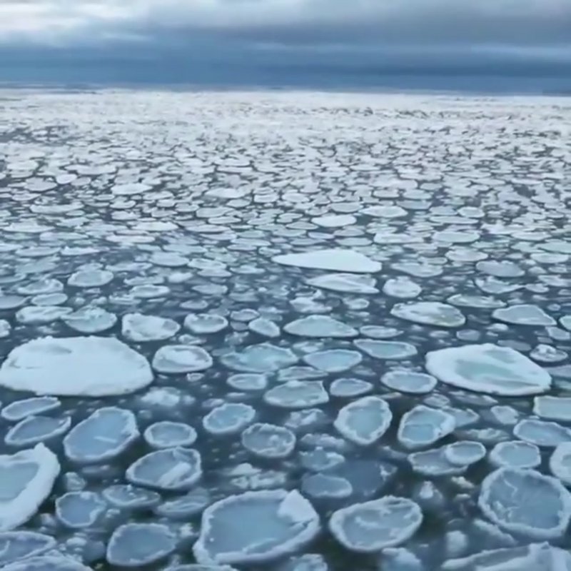 Блинчатый лед на реке бера