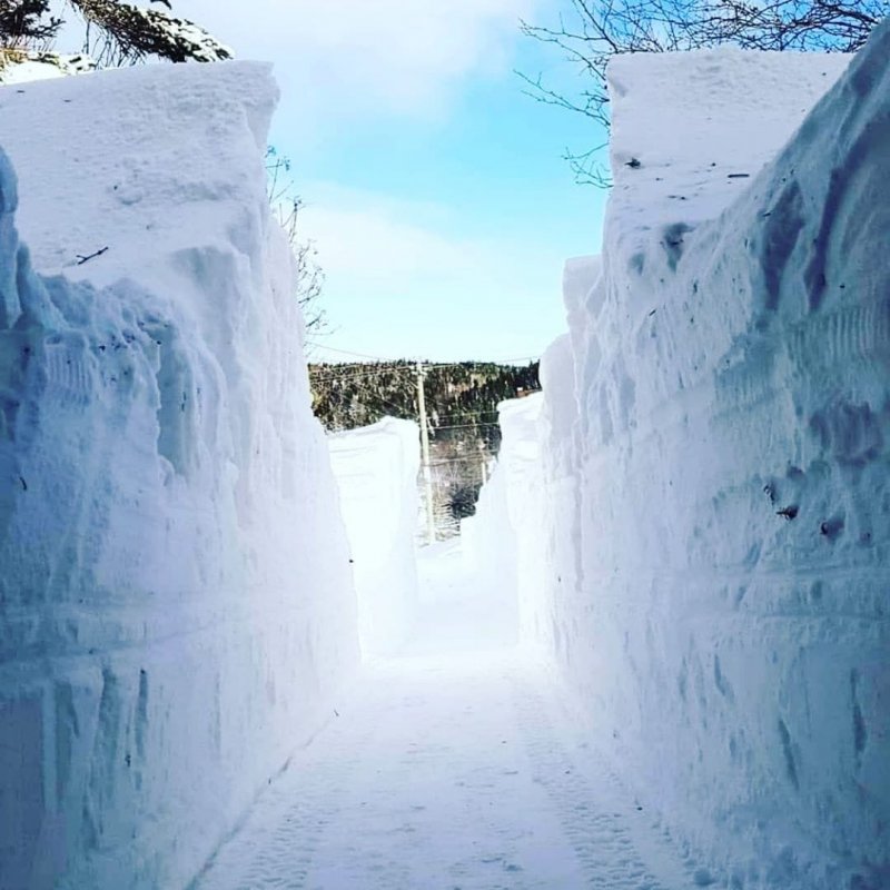 Зима в Канаде 2020
