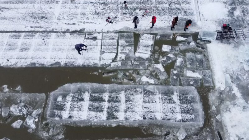 Заготовка льда на Неве в Санкт-Петербурге