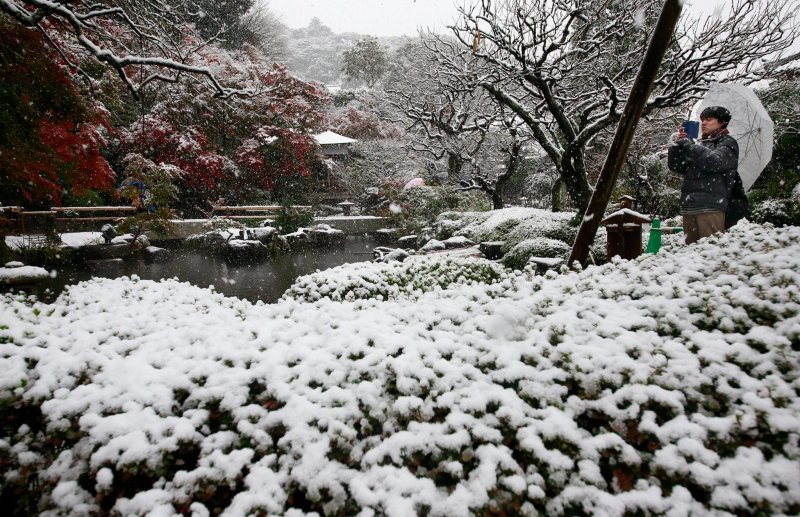 Снег в Токио