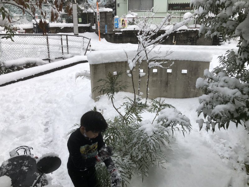 Снег в Японии 2021