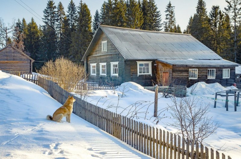 Сибирская деревня зимой