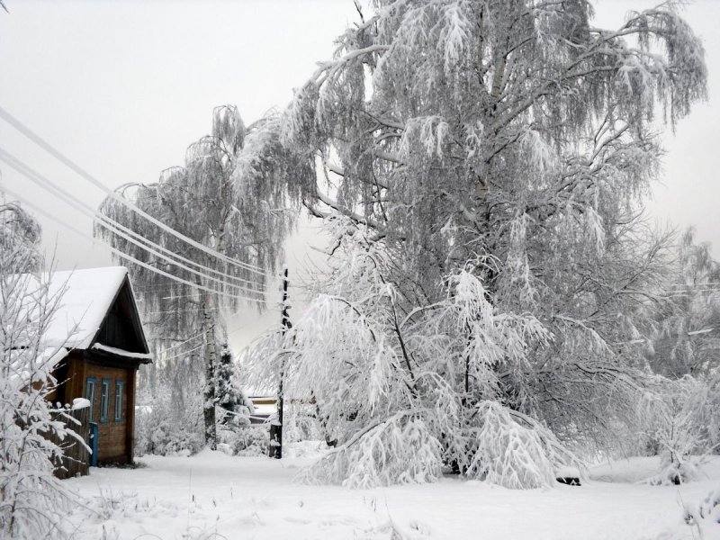 Деревня зимой снегопад