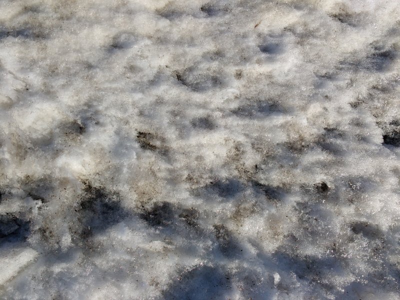 Фон белый с грязным снегом