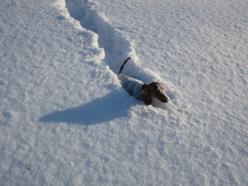 Человек по пояс в снегу