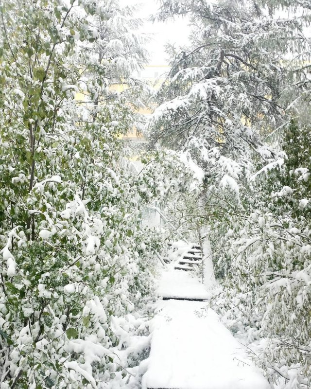 Первый снег в Якутске