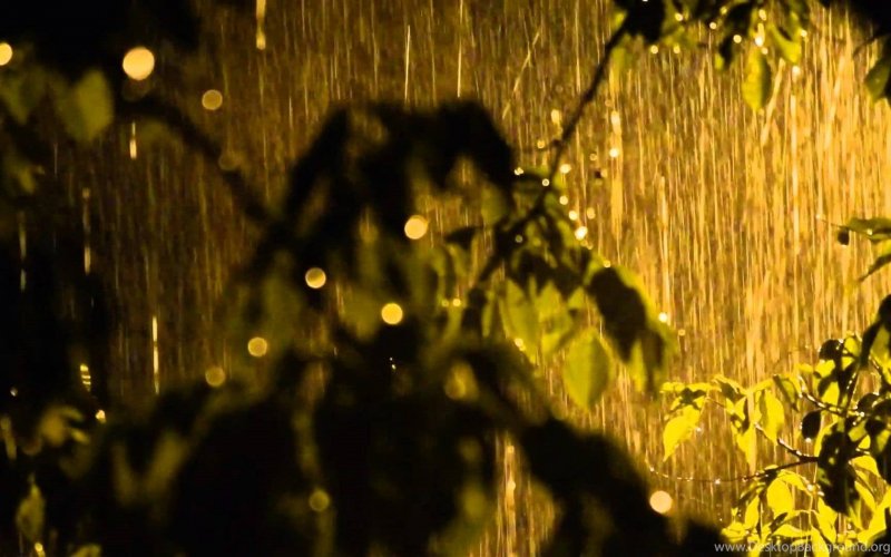 Ночь дождь природа