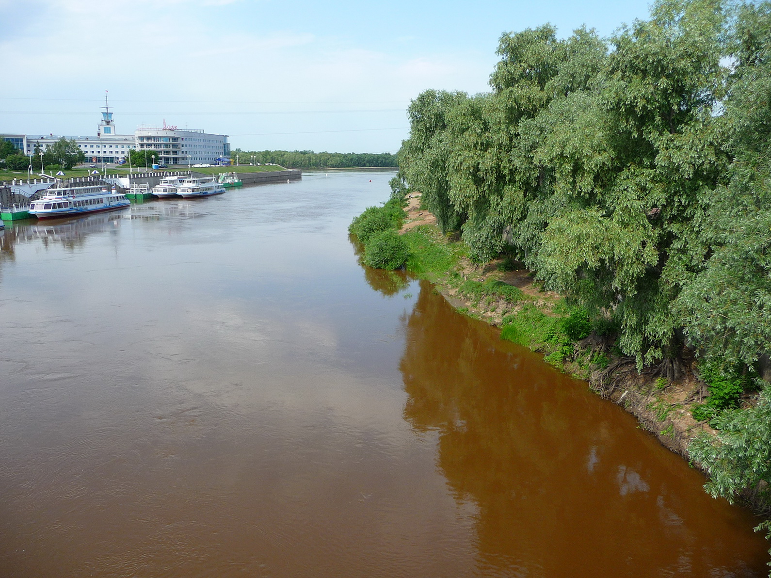 Устье реки Омь