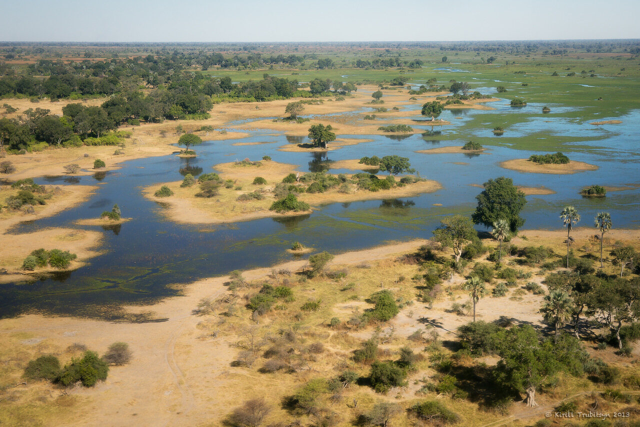 Дельта реки Окаванго в Ботсване
