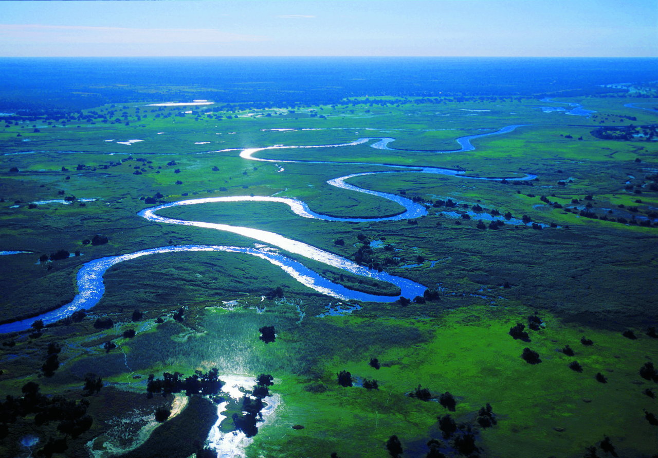 Река конго какой бассейн. Дельта Окаванго Ботсвана. Дельта реки Окаванго. Дельта реки Окаванго сафари. Дельта Окаванго Африка.