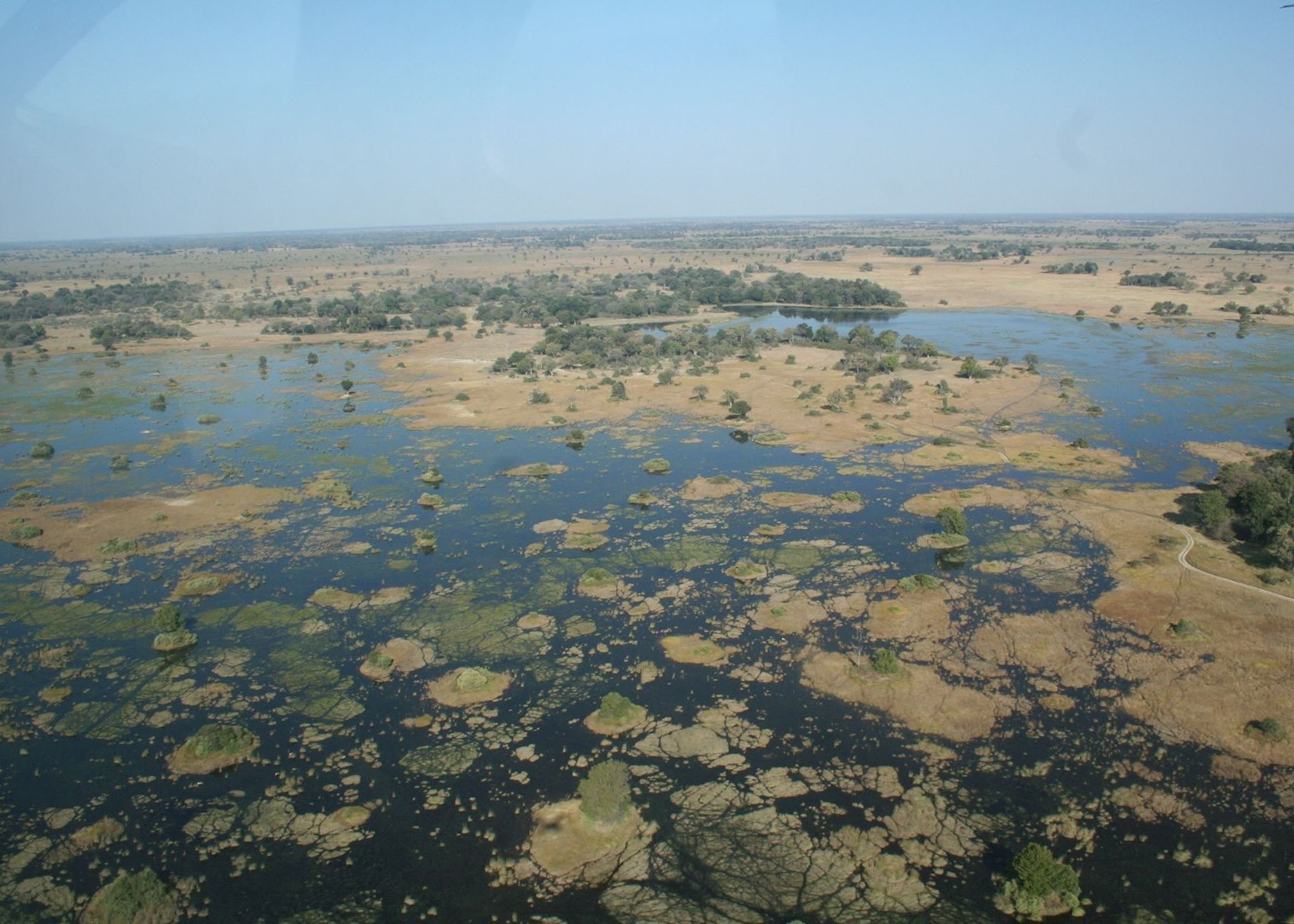 Дельта Окаванго Ботсвана