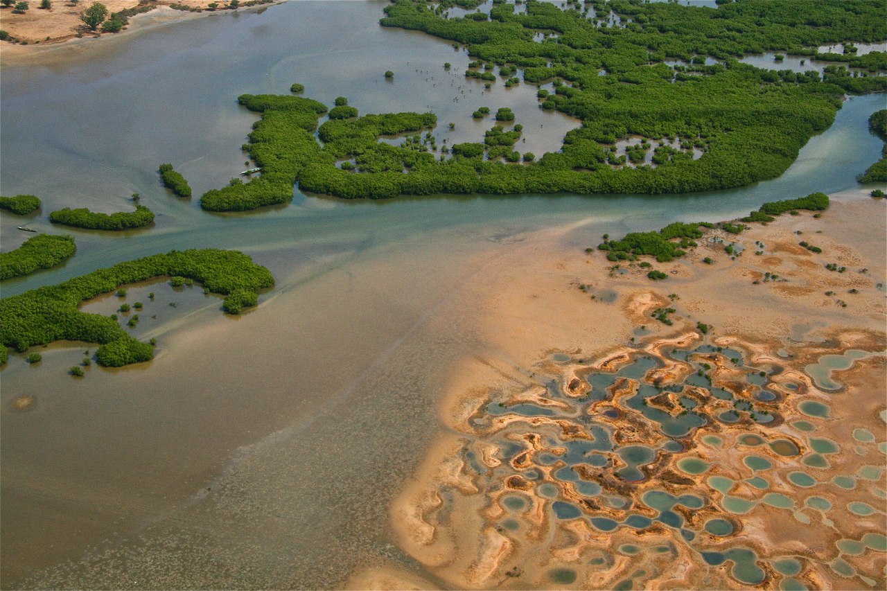 Дельта реки Сенегал
