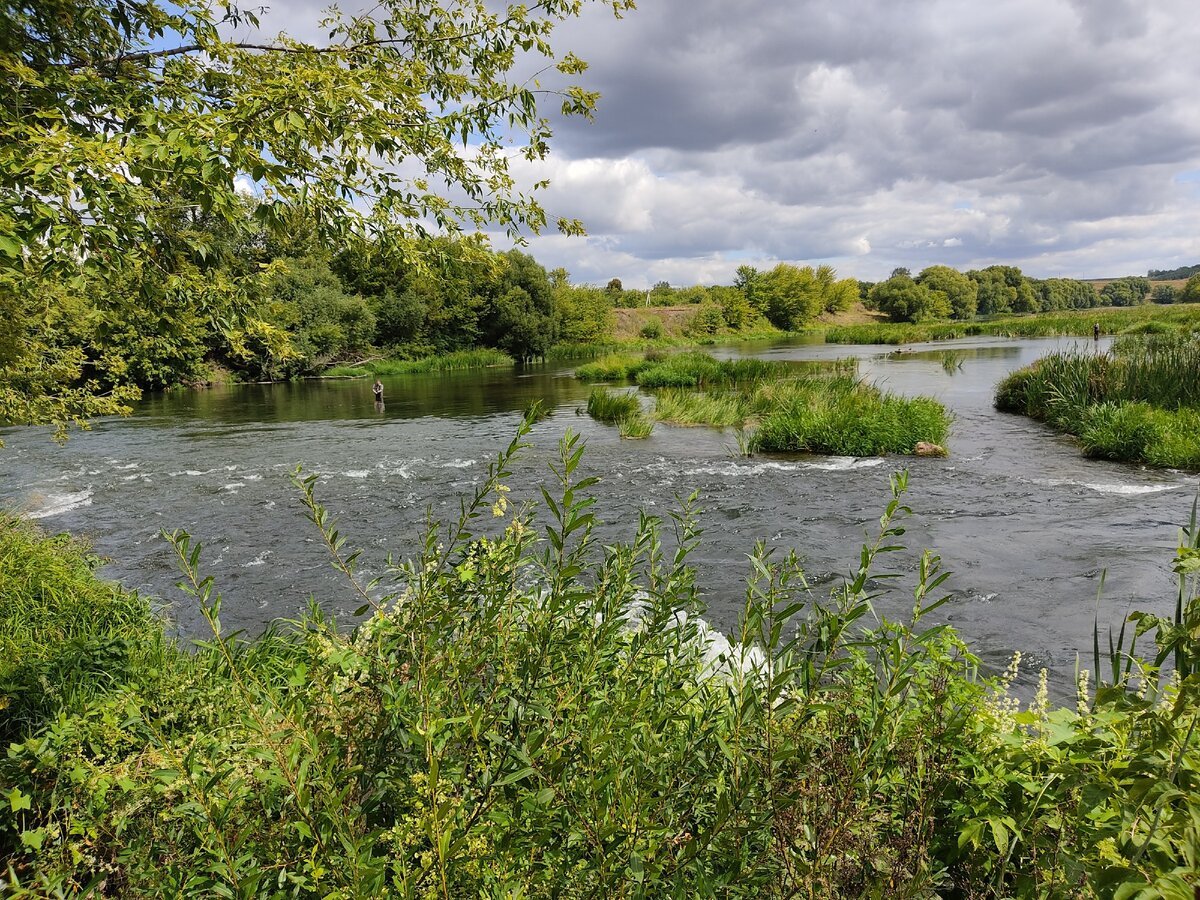 Река сосна Липецкая область