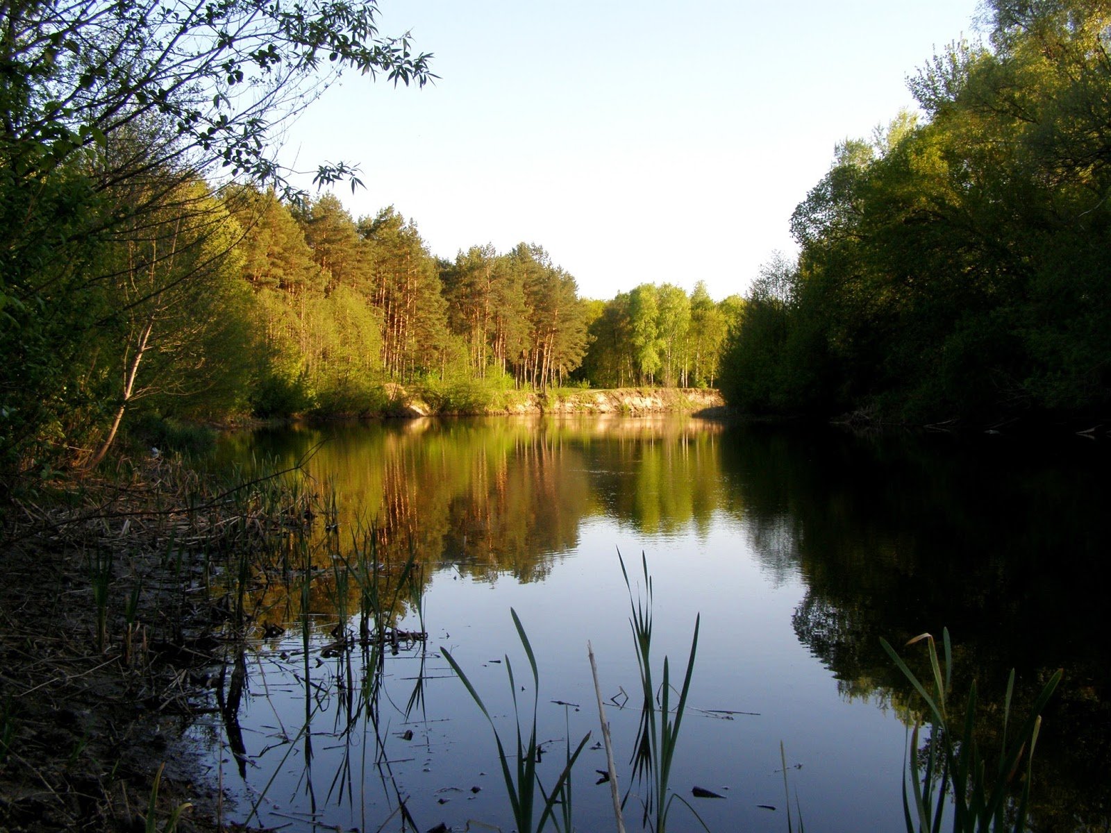 Река псёл в Белгородской области