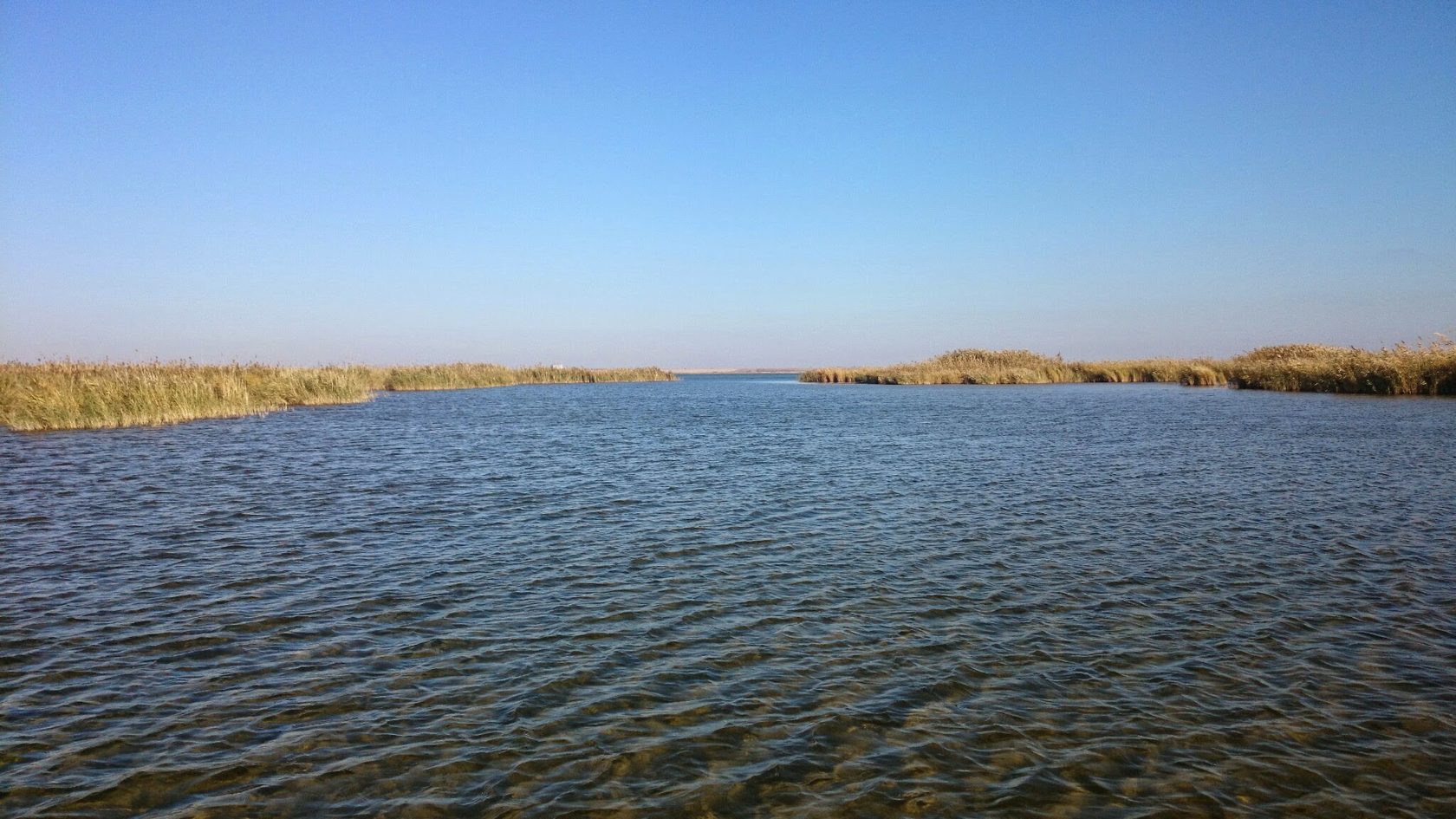 Маныч Веселовское водохранилище