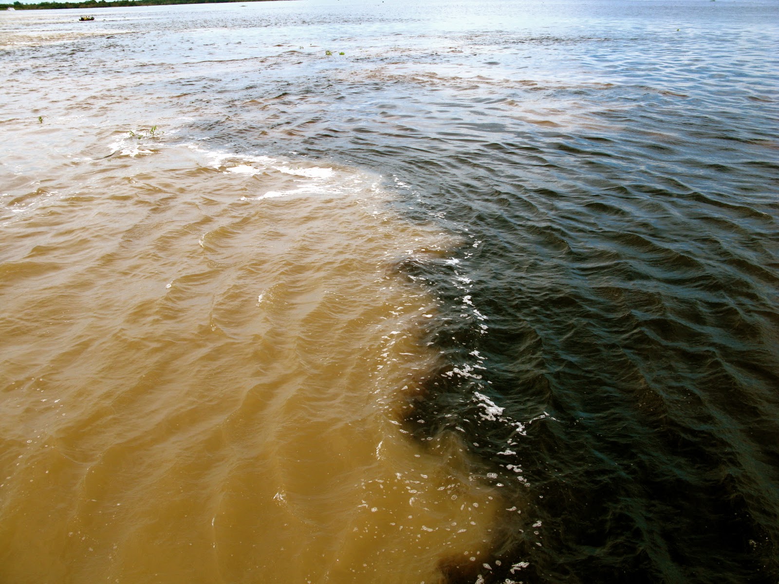 А жизнь мутная вода волна. Реки Солимоэс и Риу-негру. Слияние амазонки и Рио-Негро. Чистое и грязное море. Грязная вода.