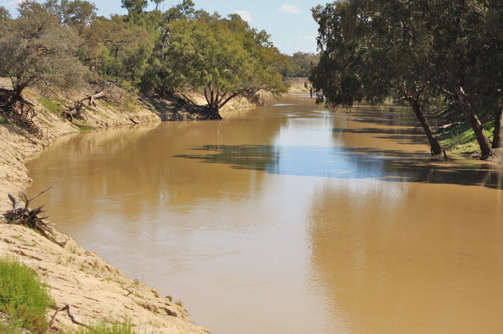 Австралия направление рек. Река Дарлинг в Австралии. Река Дарлинu Австралии. Озеро Дарлинг Австралия. Река Муррей.
