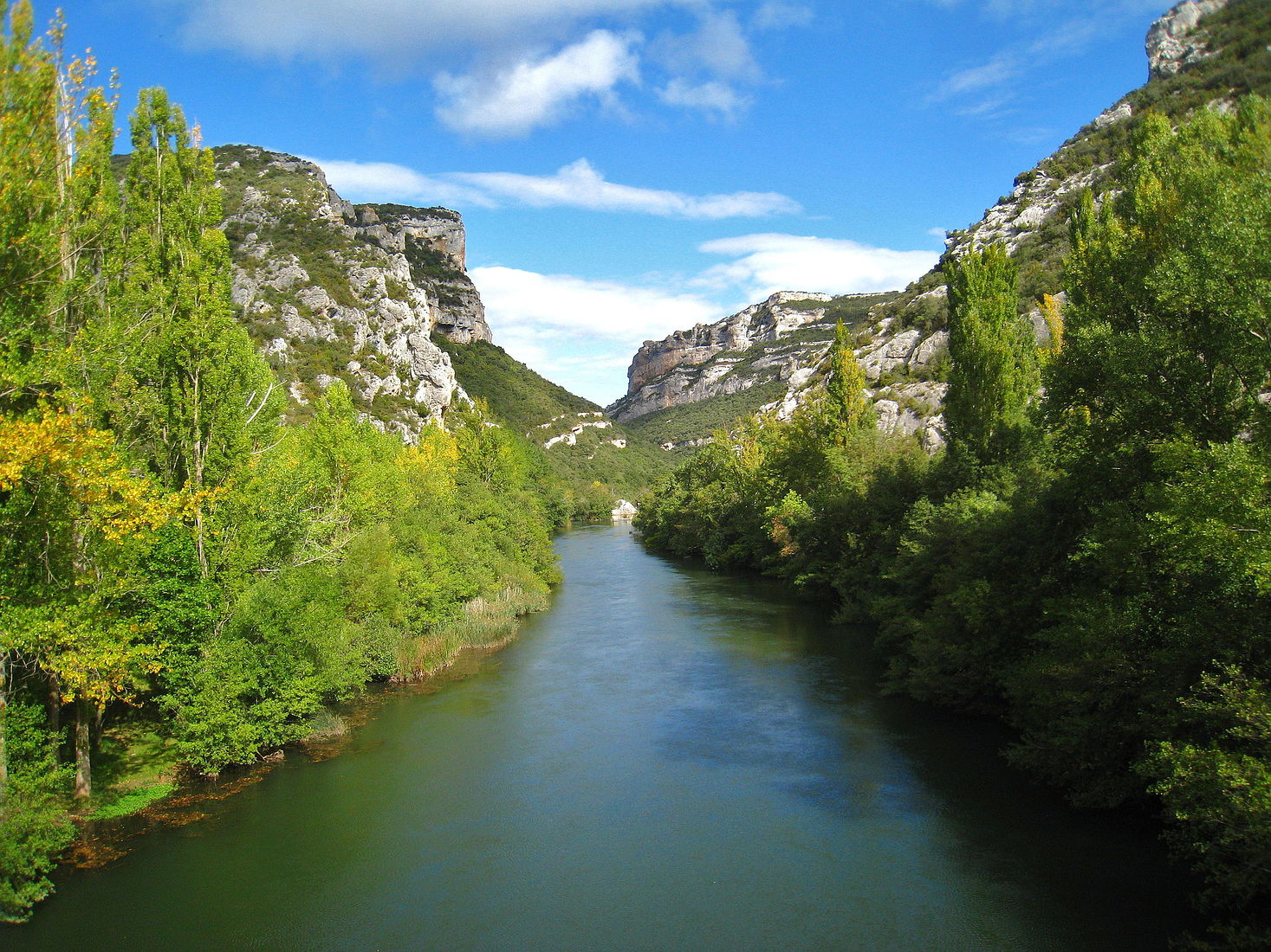 Устье тахо. Река Тахо в Испании. Тахо Континент река. Устье реки Тахо. Река Тахо в Испании фото.