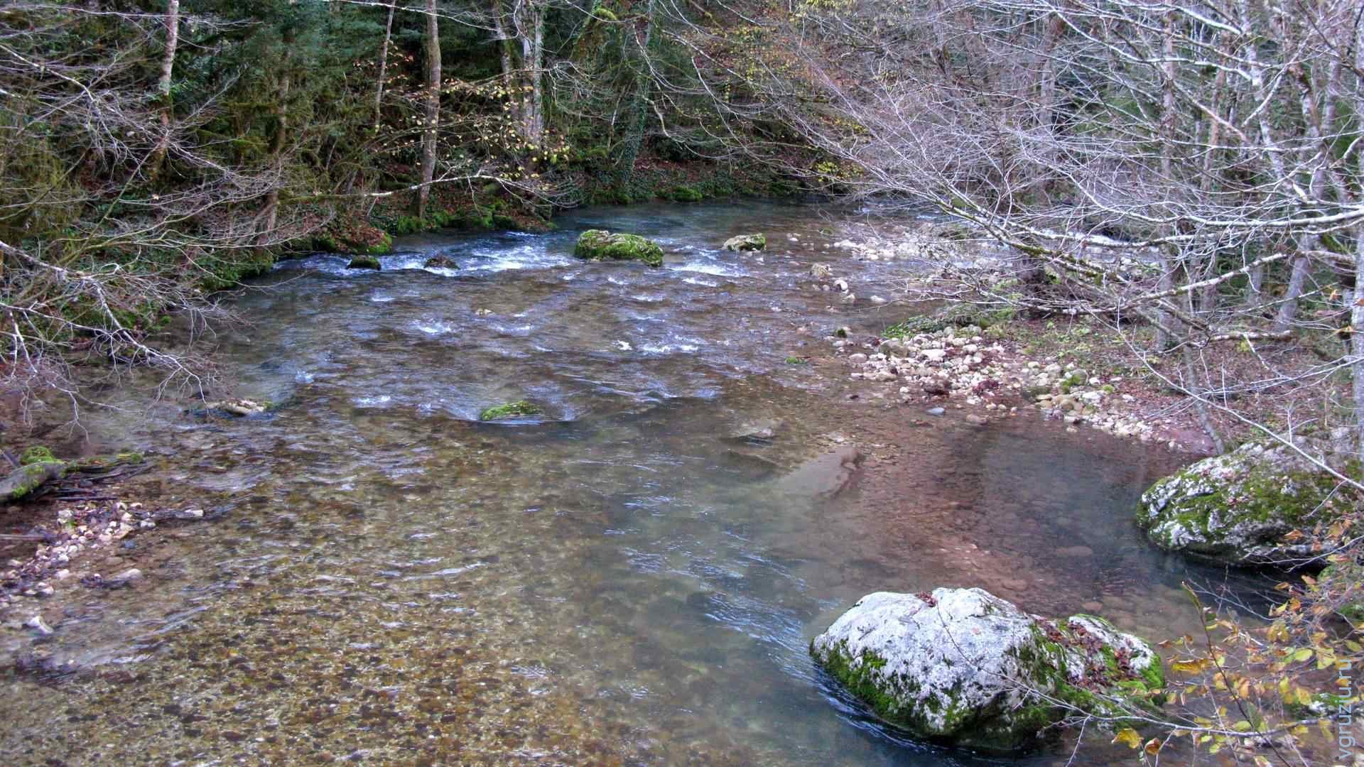 Река грузинка Грузино. Рыбалка в Грузии на реке кура. Рыбалка в Грузии на горных реках. Рыба горных рек Грузии.