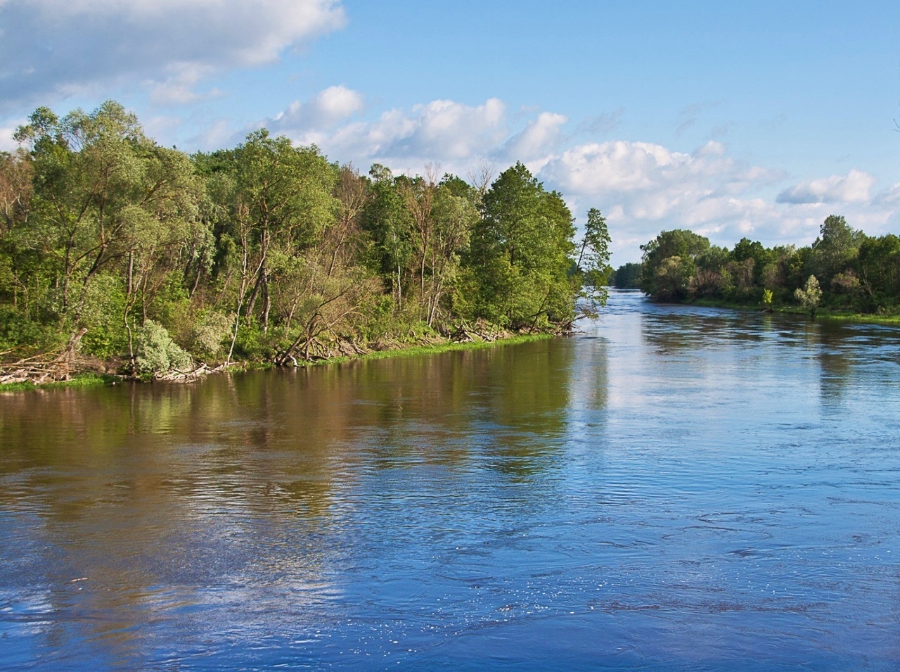 Река Западный Буг в Беларуси