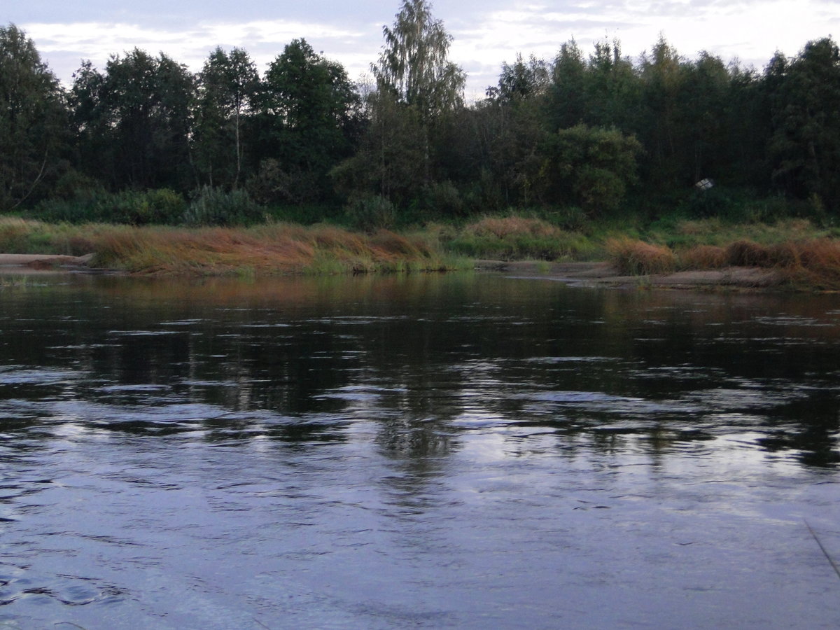 Река Молога Тверская область рыбалка