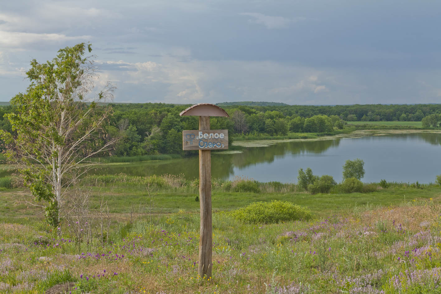 Белое озеро Саратовская область