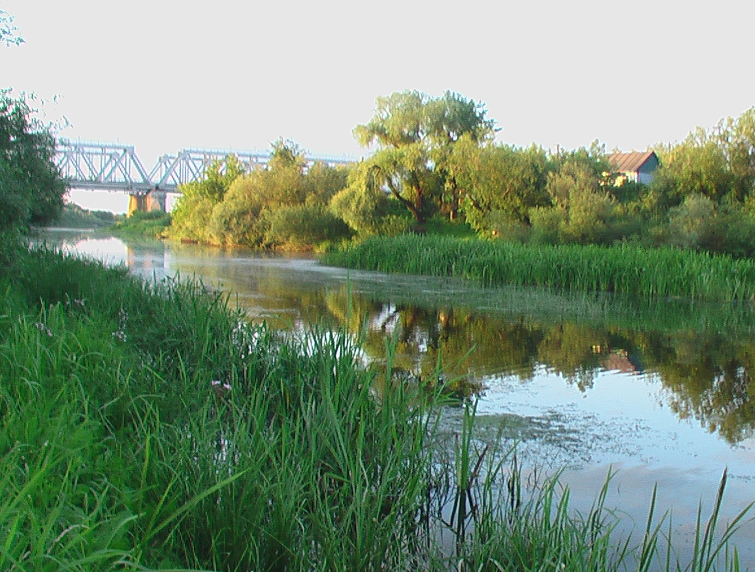 Река ковра