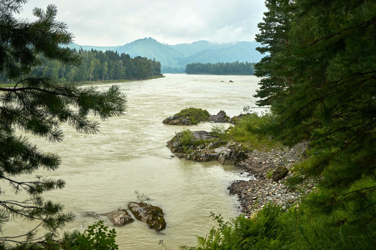 Река кокса горный Алтай