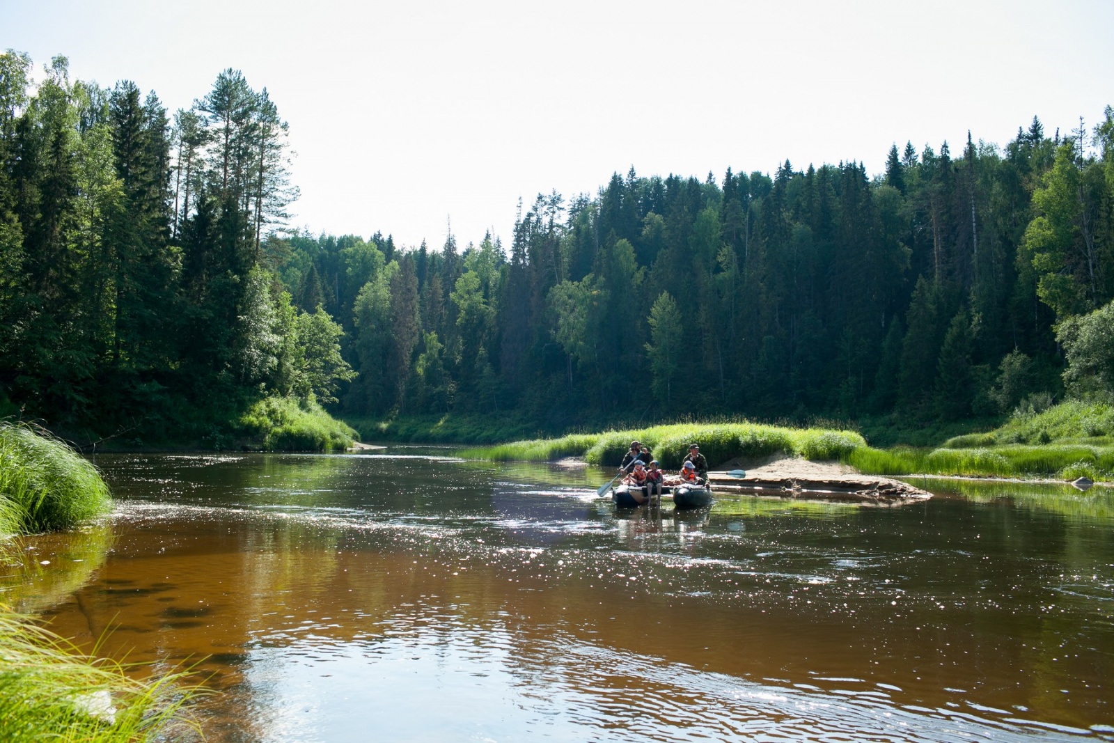 Река Кокшеньга Архангельская