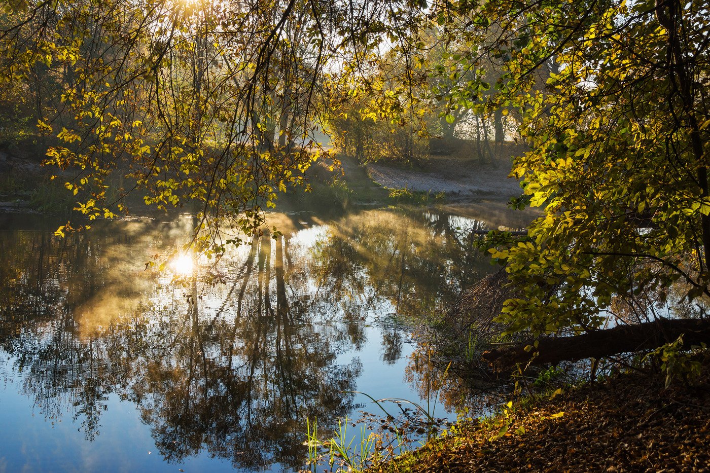 Осень река Усманка Воронеж