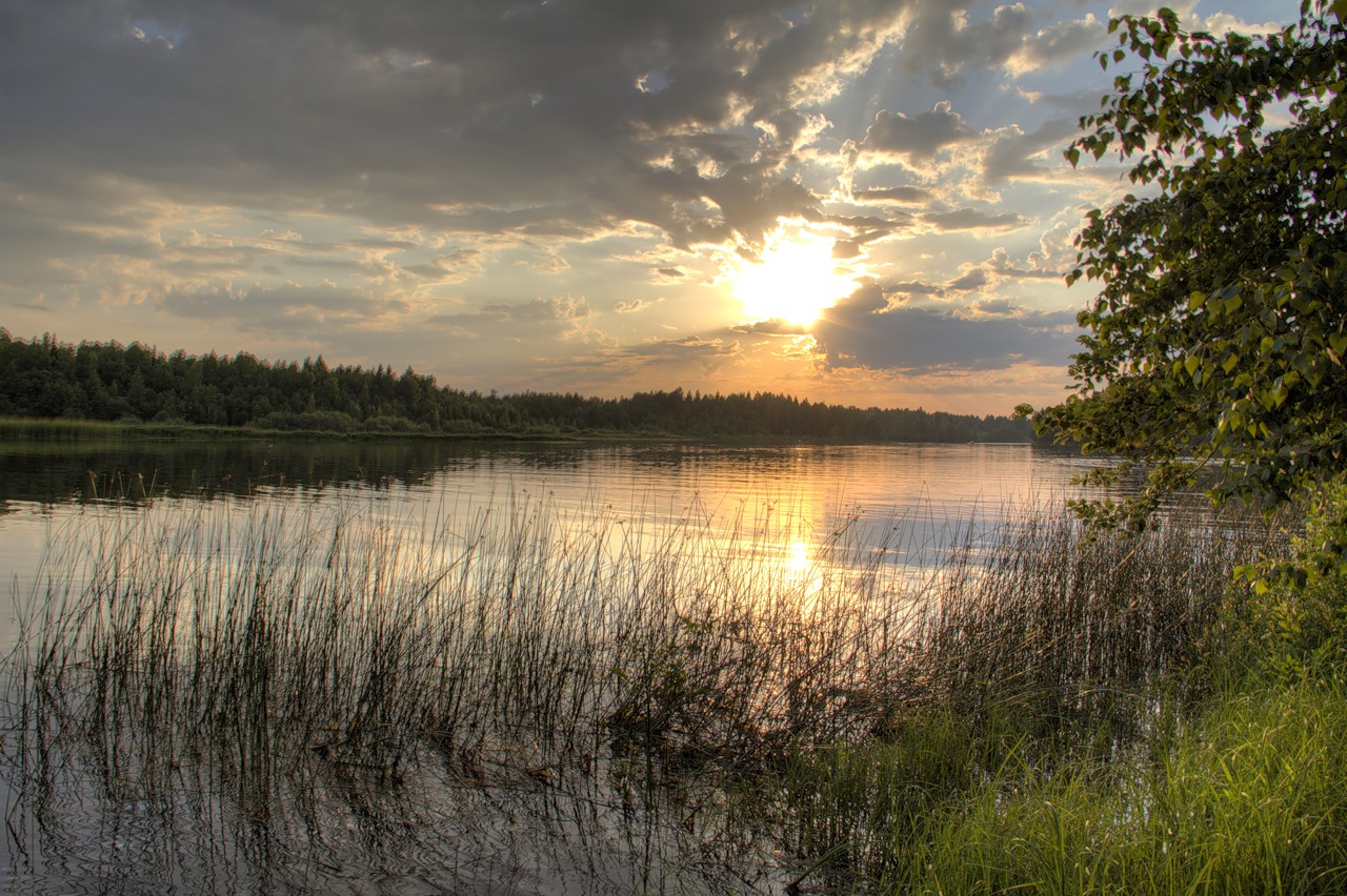 Река юхоть ярославская область фото
