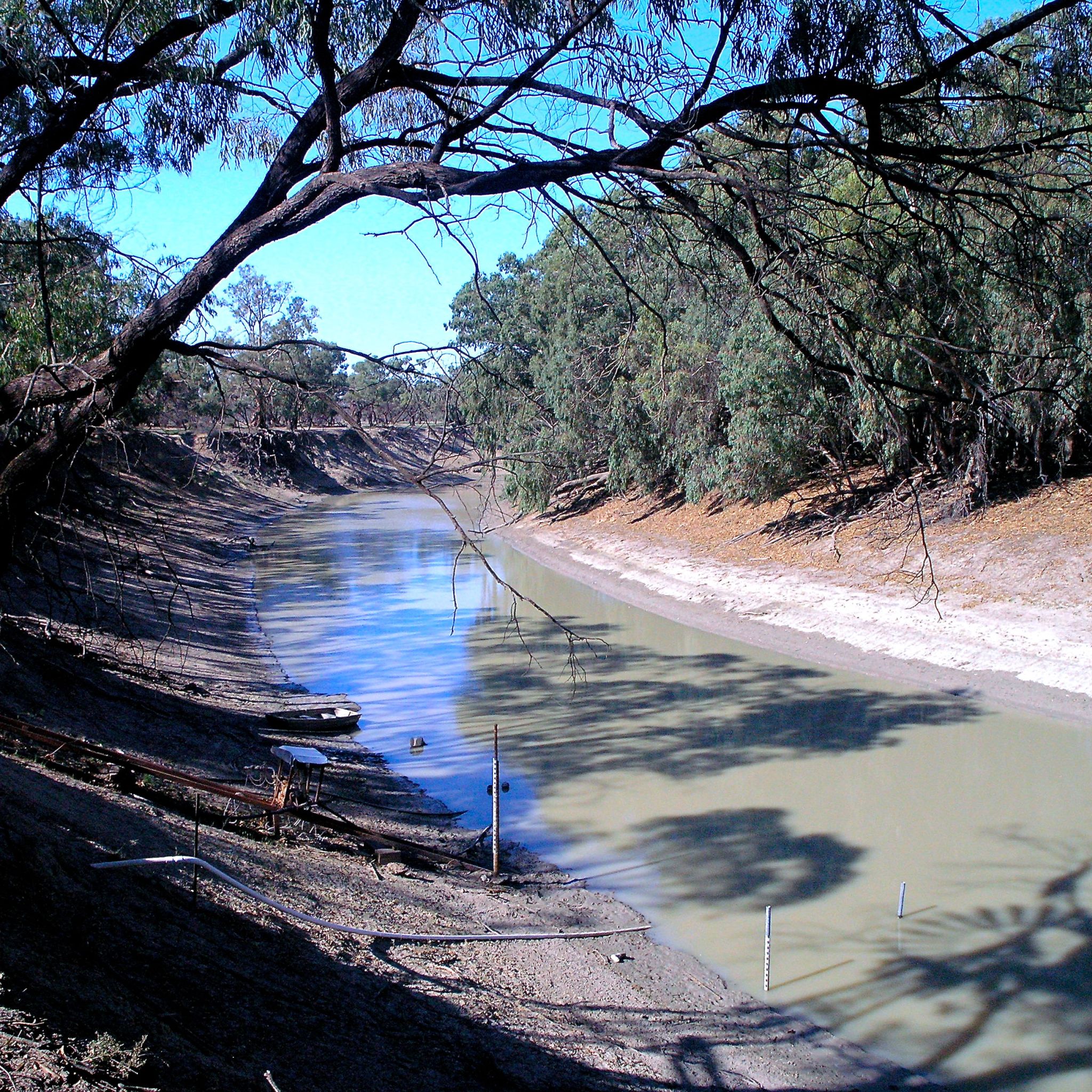 Австралия направление рек. Река Дарлинu Австралии. Река Дарлинг в Австралии. Река Купер крик в Австралии. Реки: Муррей, Дарлинг, Купер-крик..