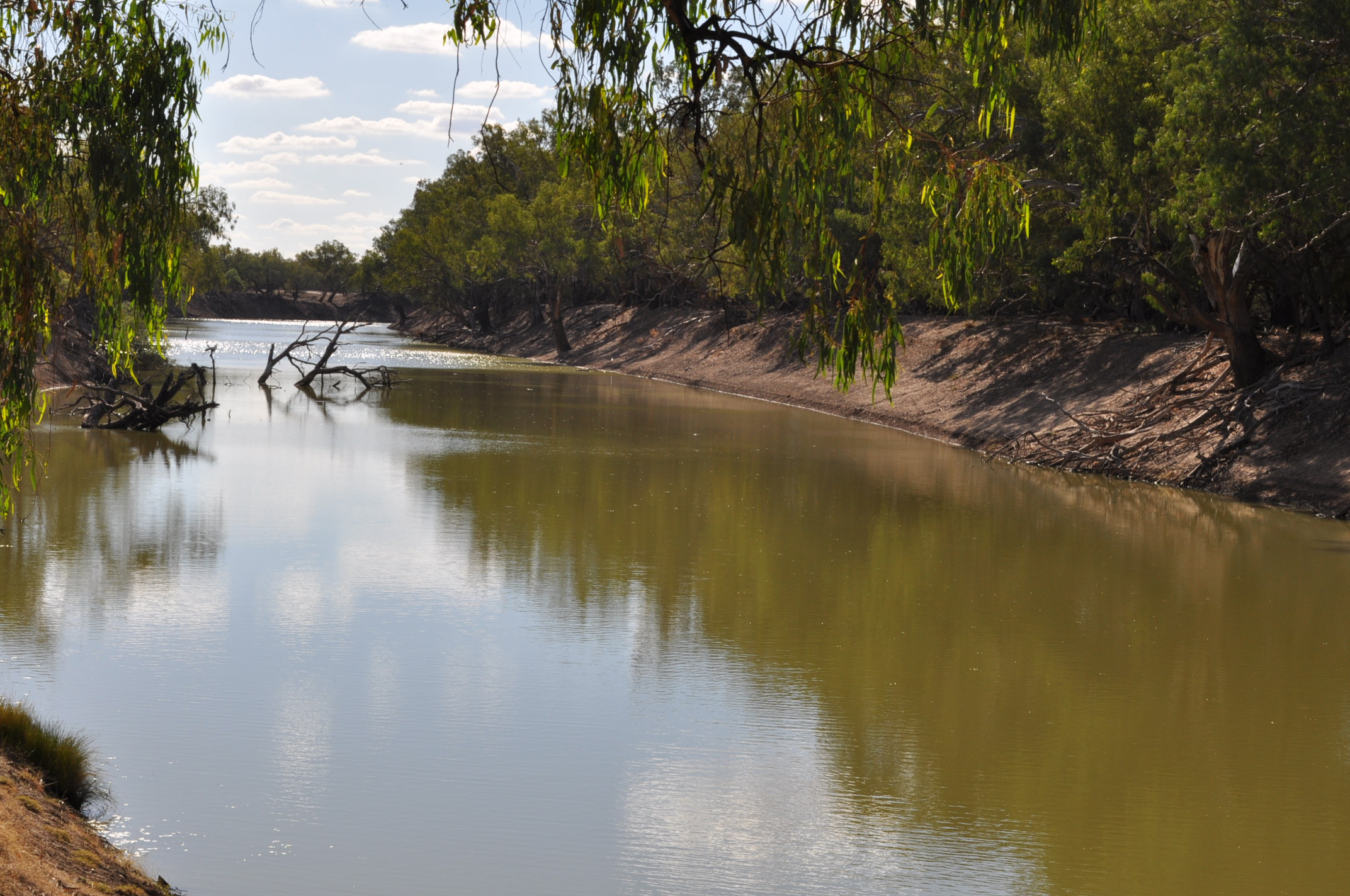 Река дарлинг полноводна круглый. Река Дарлинг. Река Дарлинu Австралии. Река Дарлинг в Австралии. Река Муррей.