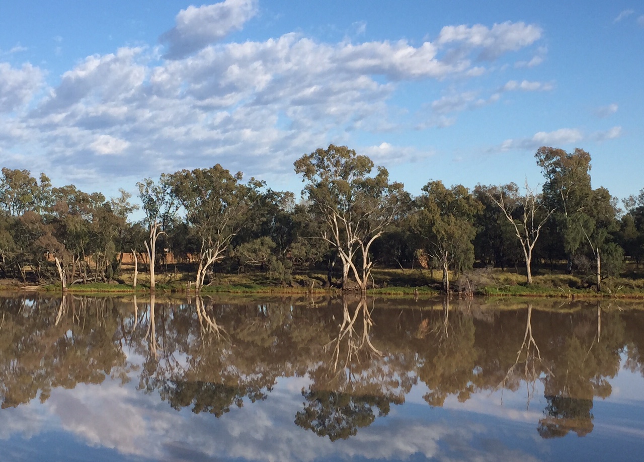 Река дарлинг полноводна круглый. Река Дарлинг. Муррей дарагы. Реки Квинсленда. Река никогда в Австралии.