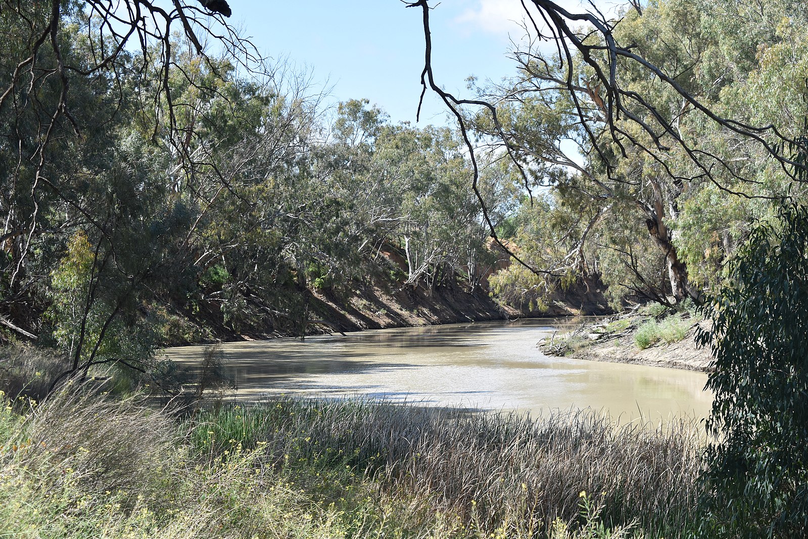 Река дарлинг полноводна круглый. Река Муррей. Муррей в Австралии. Река Дарлинг. Река Дарлинг в Австралии.
