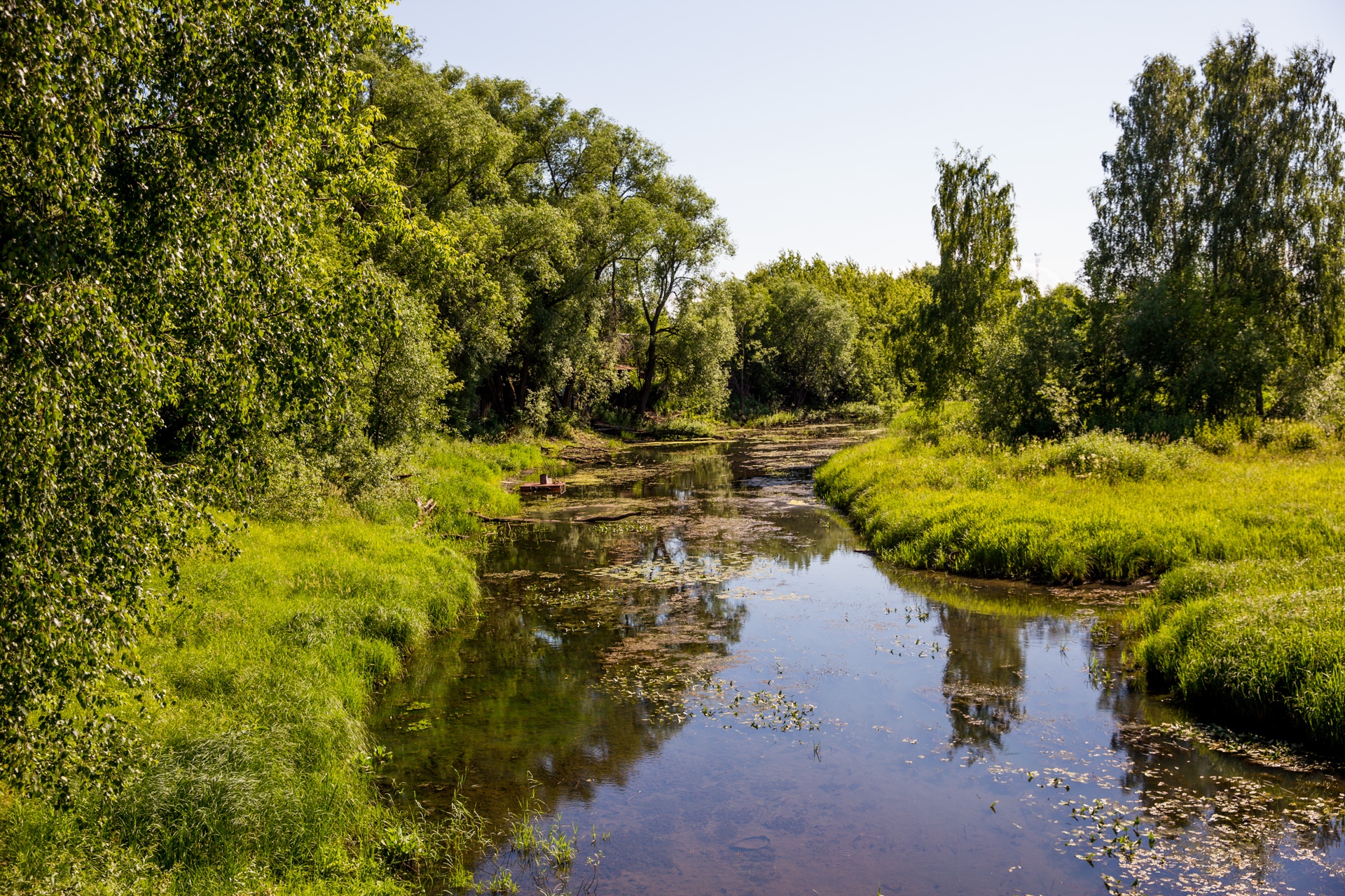 Река устье ярославская область фото